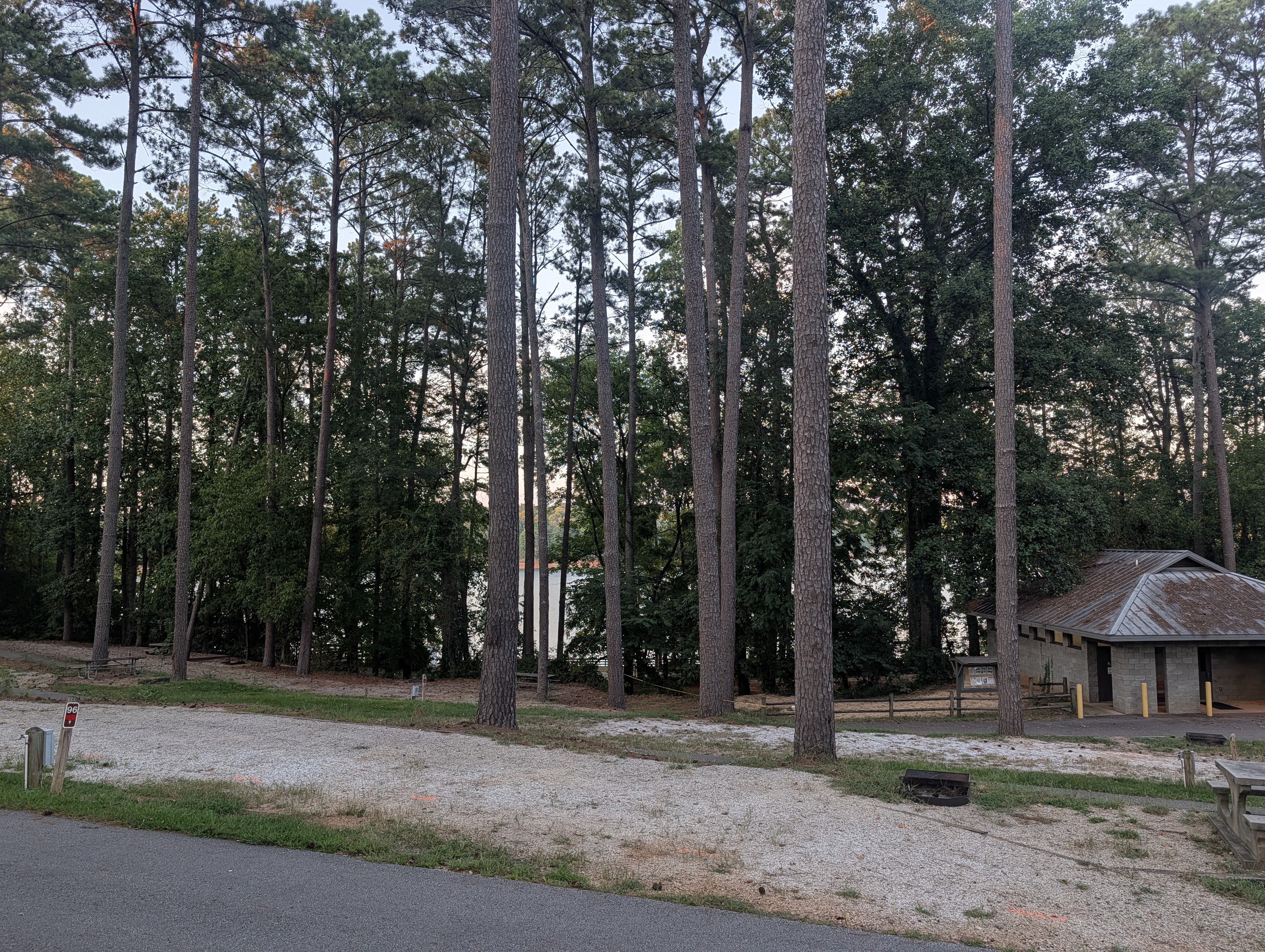 Lakeside campground at Tugaloo State Park at dusk, pines lining the shore of Lake Hartwell