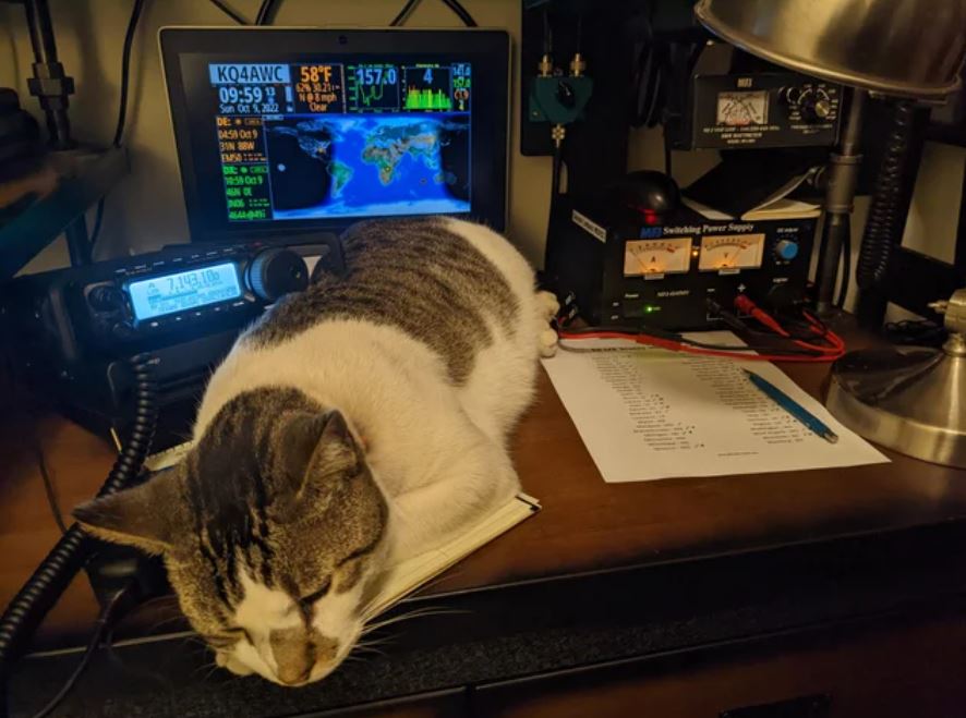 The shack cat asleep on the operating desk